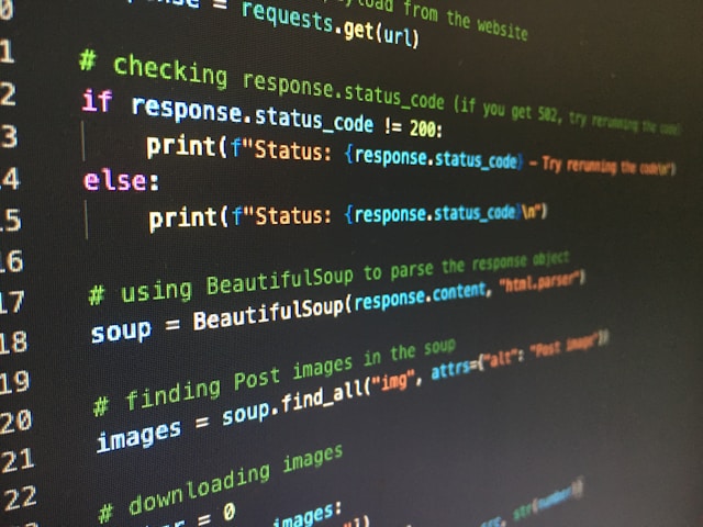 python developer